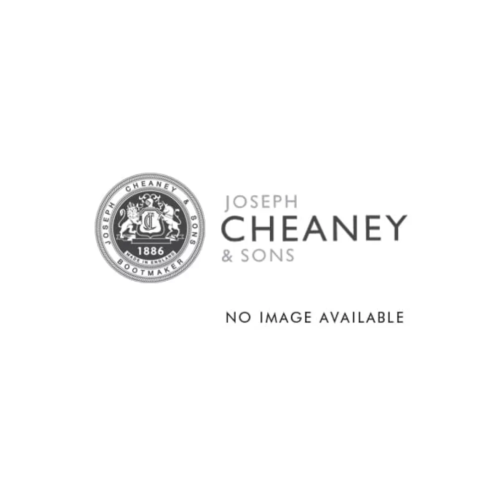 Cheaney Chelsea Boots | Barnes Iii B Chelsea Boot In Snuff Repello Oiled Suede