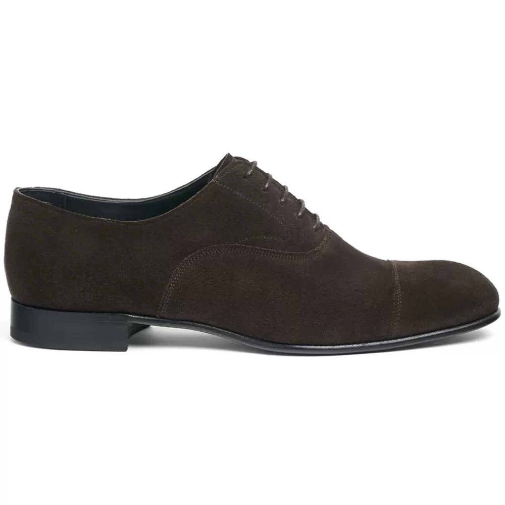 Cheaney Oxfords | Stratton Capped Oxford In Pony Suede